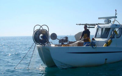 Perspectives de diversification des activités de pêche à l’intérieur des futures fermes pilotes éoliennes flottantes en Méditerranée et Atlantique