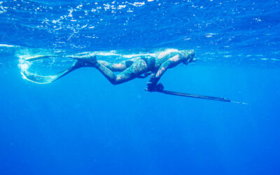 Etude de la chasse sous-marine et suivi d’espèces