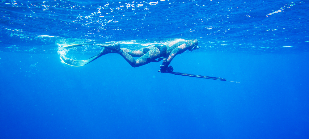 Etude de la chasse sous-marine et suivi d'espèces - Marepolis