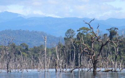 Analyses de données d’un réservoir au Laos