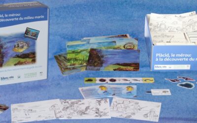 Elaboration d’un kit pédagogique/jeu multimédia sur les écosystèmes marins