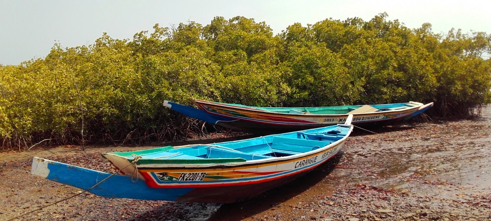 pirogue Saloum Sénégal